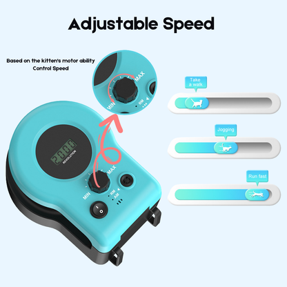 The Smart Toy That Makes Cats Run Again 🐾