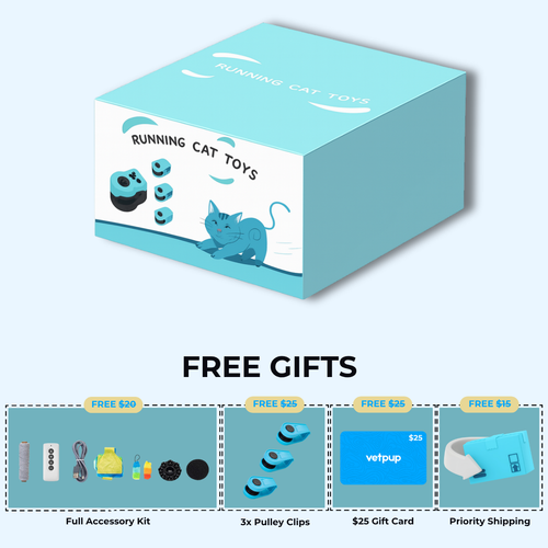 The Smart Toy That Makes Cats Run Again 🐾