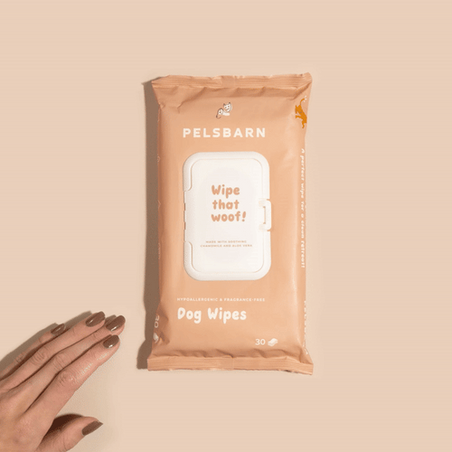 Eco Dog Wipes – For Clean Paws